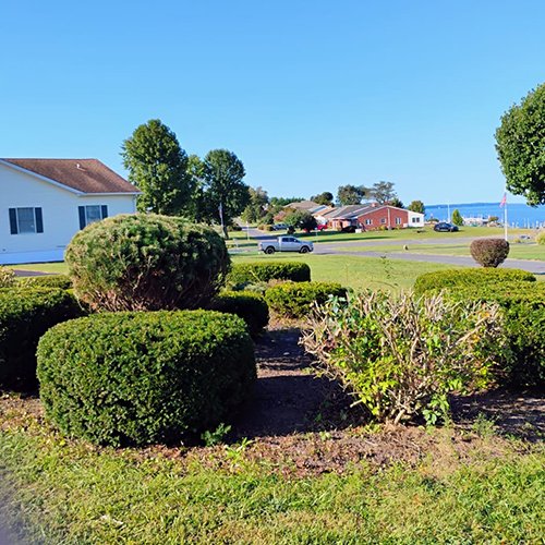 Image Primos landscapíng & Lawn Care Service LLC