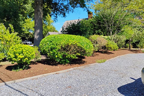 Image Primos landscapíng & Lawn Care Service LLC