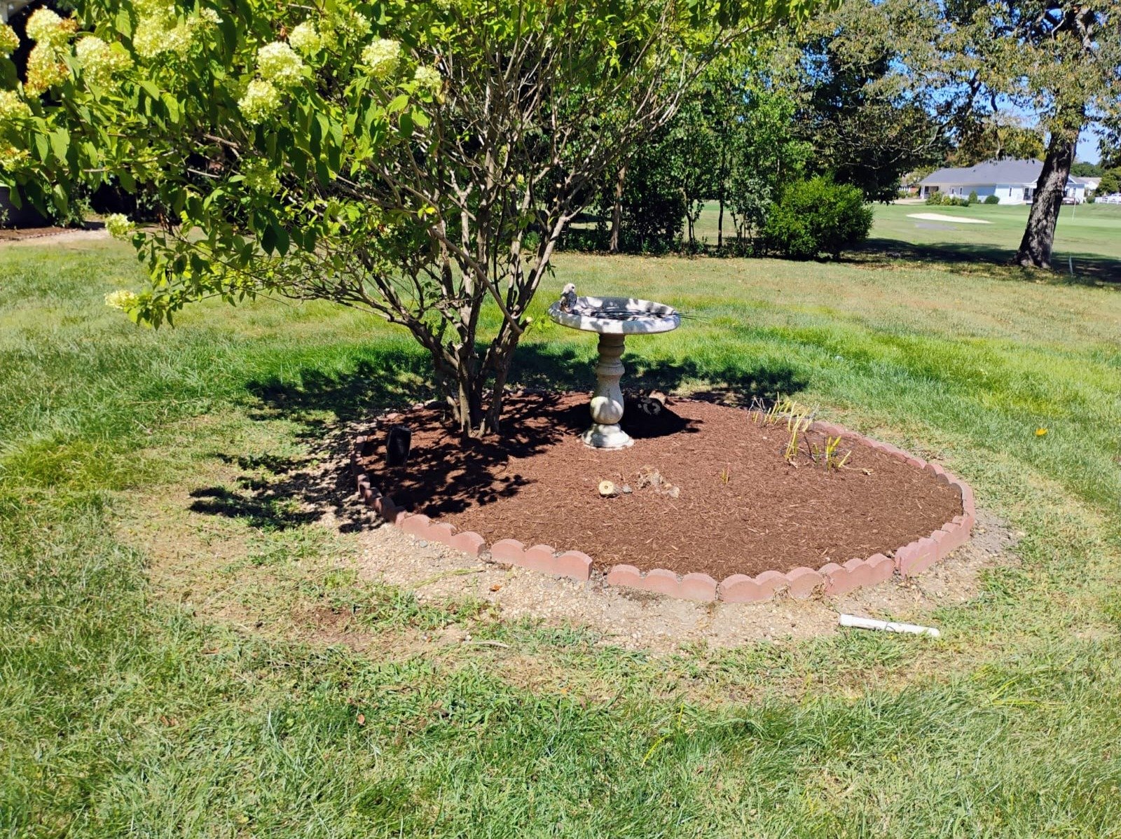Primos landscapíng & Lawn Care Service LLC