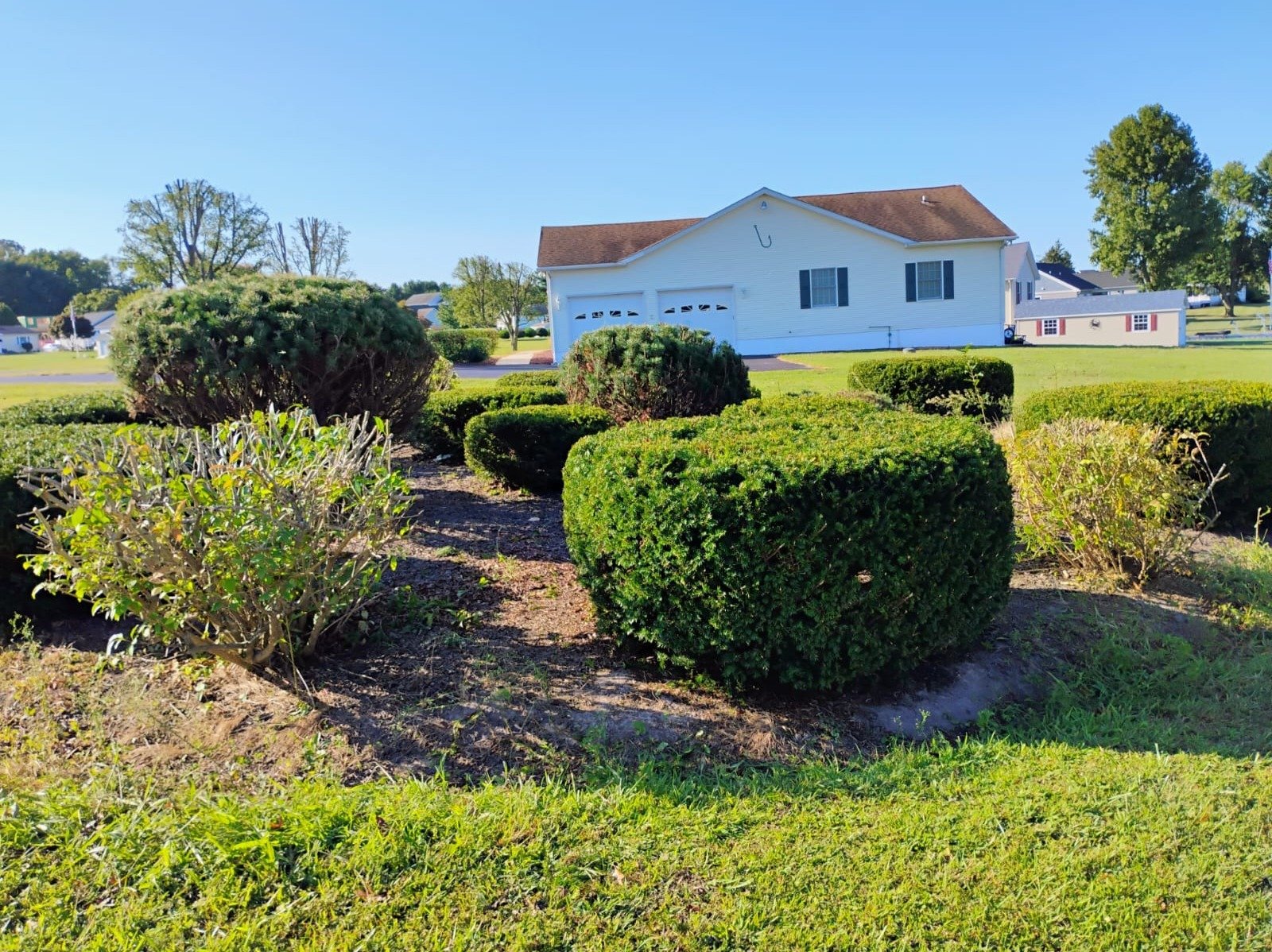 Primos landscapíng & Lawn Care Service LLC